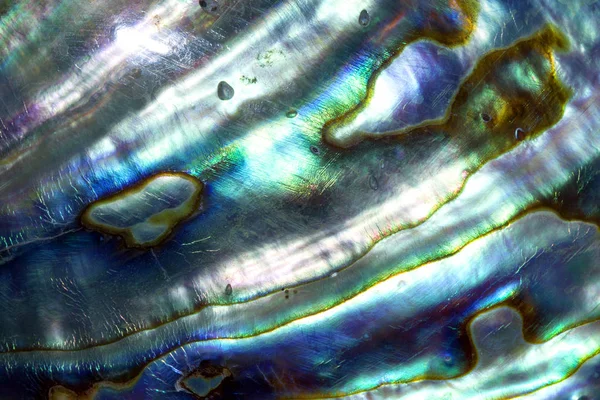 Macre close up of mother of pearl shell ロイヤリティフリーのストック画像