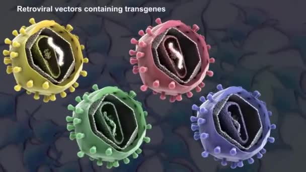 retrovirální vektory obsahující transgen