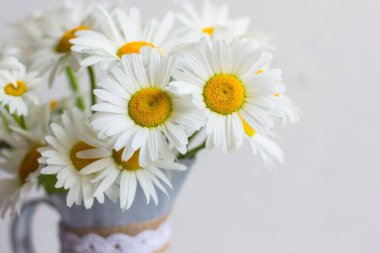 Metal bir sürahide bir buket beyaz papatya gri bir beton masada duruyor. Metin için alanı kopyala