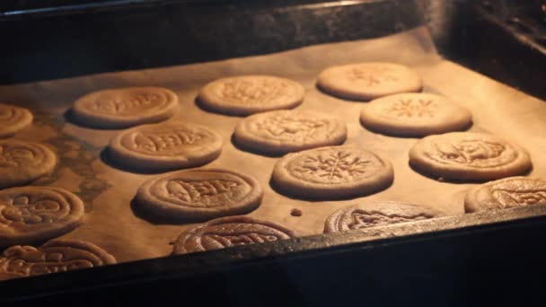 オーブンで焼いたクリスマスクッキー — ストック動画