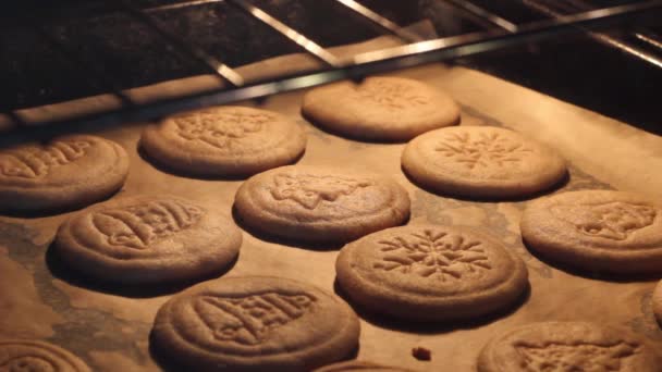 烤箱里烤的圣诞饼干 — 图库视频影像