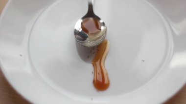 Karıncalar beyaz bir tabaktan bal yerler. Yukarıdan görünüşü.