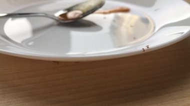 Karıncalar beyaz bir tabakta sürünürler.