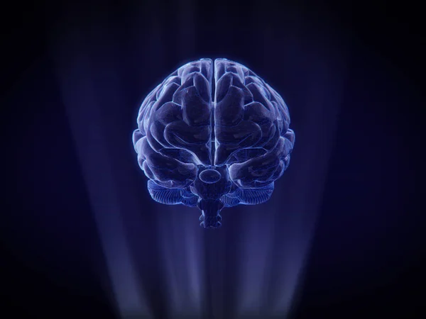 Gehirn Hologramm Wireframe Style Rendering — Stockfoto
