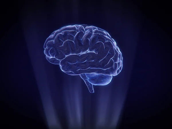 Gehirn Hologramm Wireframe Style Rendering — Stockfoto