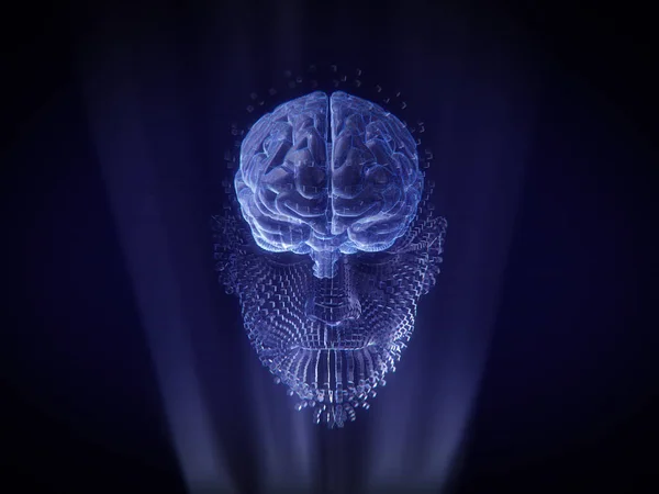 İnsan yüzü ve beyin hologramı Wireframe 3D oluşturma
