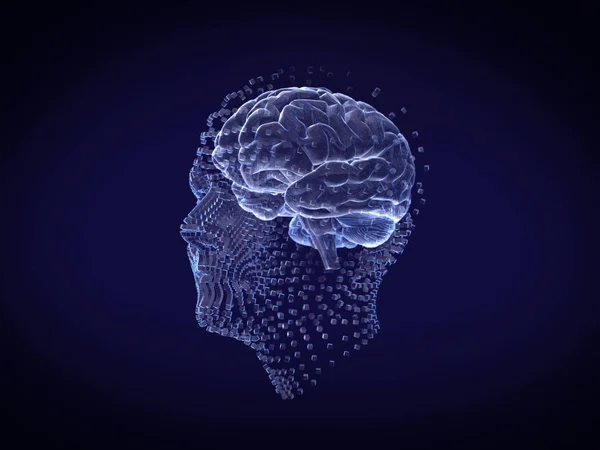 Menschliches Gesicht Und Gehirn Hologramm Wireframe Style Rendering — Stockfoto