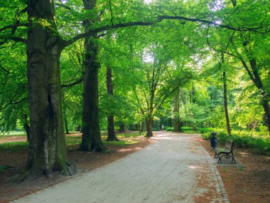 güneşli bir gün parkta