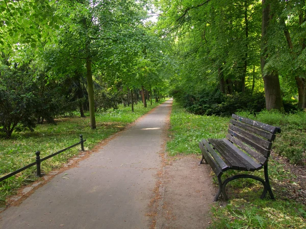 güneşli bir gün parkta