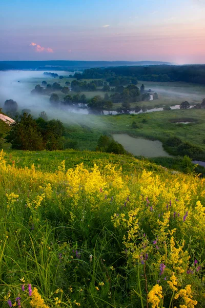 Рано Вранці Пагорбі — стокове фото