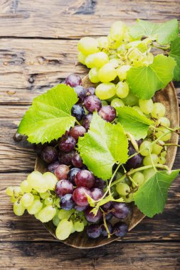 Ahşap masa, seçici odak tatlı taze üzüm