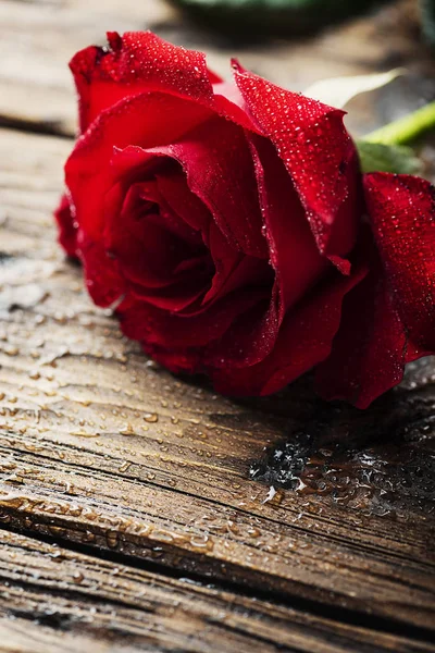 Amazing Red Rose Wooden Table Selective Focus — Stock Photo, Image