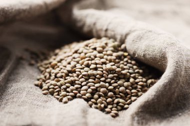 Ham sağlıklı kahverengi mercimek, seçici odak