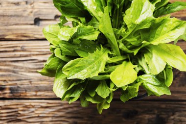 Ahşap masa, seçici odak üzerinde taze yeşil hindiba