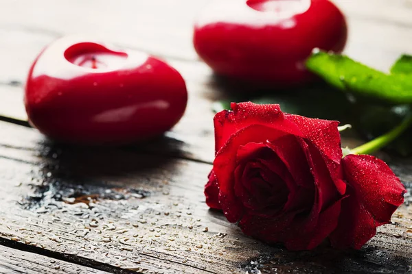 Удивительная Красная Роза Деревянном Столе Избирательный Фокус — стоковое фото