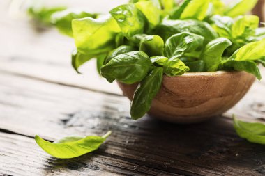 Ahşap masa, seçici odak üzerinde yeşil taze fesleğen