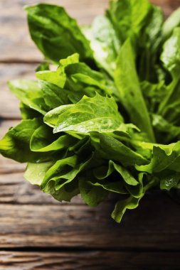 Ahşap masa, seçici odak üzerinde taze yeşil hindiba