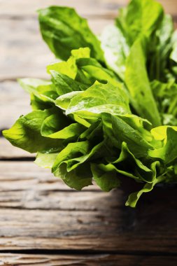 Ahşap masa üzerinde taze yeşil hindiba