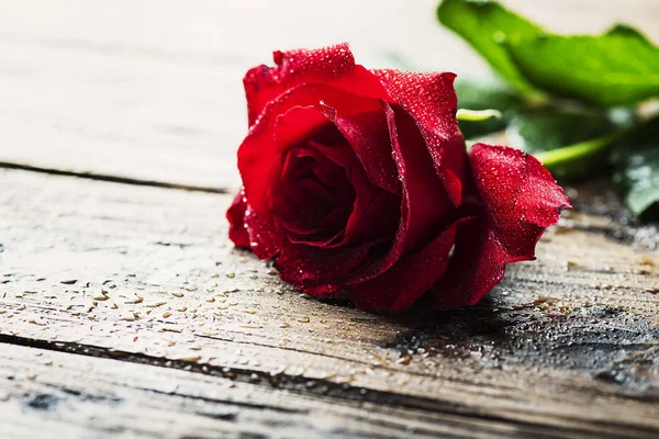 Красная Роза Капельками Воды Деревянном Столе — стоковое фото