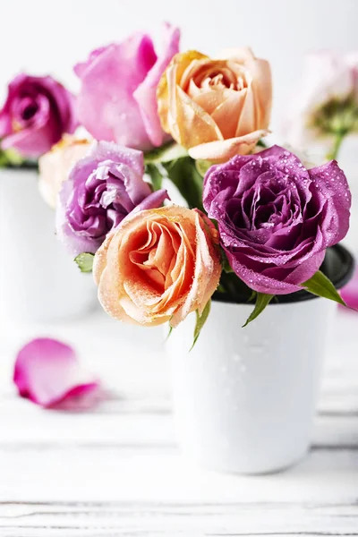 Hermosos Racimos Rosas Rosadas Sobre Fondo Blanco —  Fotos de Stock