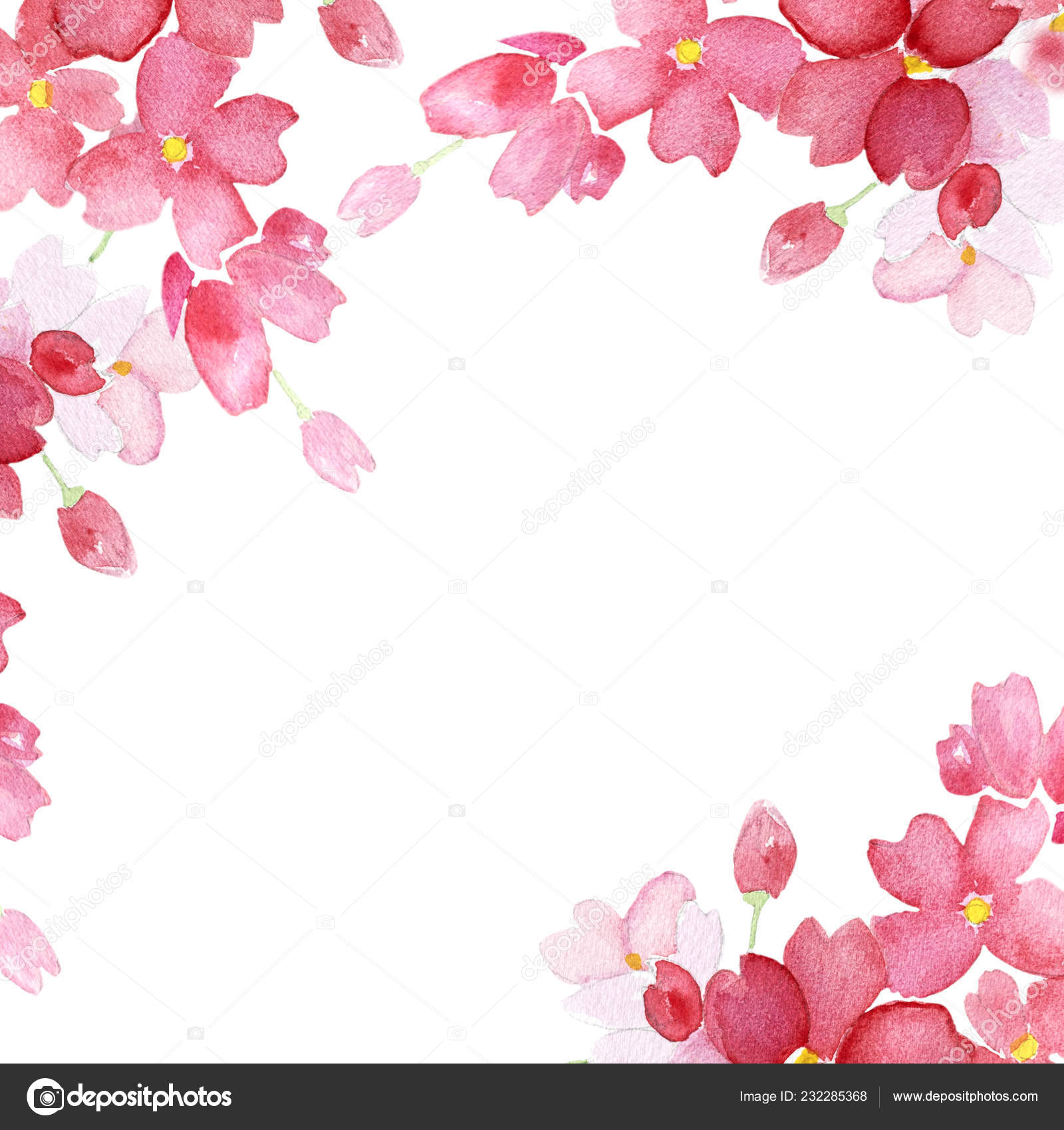 Watercolor Floral Gift Card Isolated White Background Stock Photo By  ©Nolonely 232285368