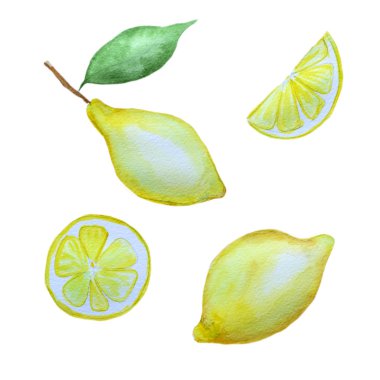 Beyaz arka plan üzerinde izole elle çizilmiş sulu boya limon