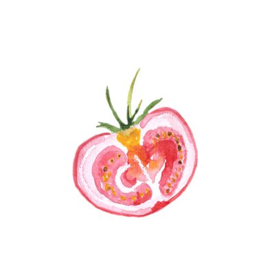 Beyaz arka plan üzerinde izole suluboya elle çizilmiş domates