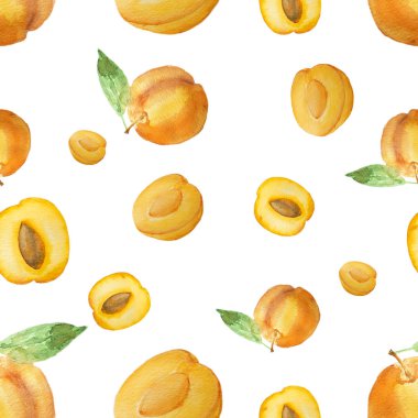 Beyaz arka plan üzerinde izole el çekilmiş suluboya kayısı desen