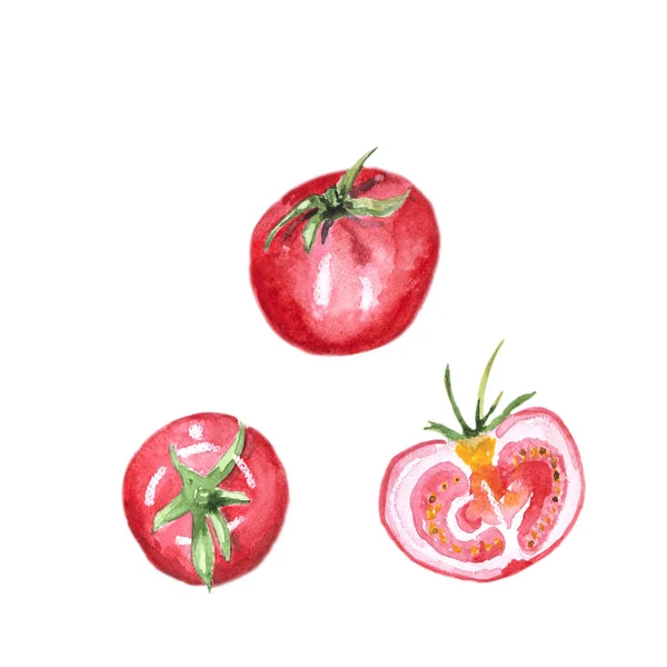 Trzy Pomidory Akwarela Ręcznie Rysowane Białym Tle — Zdjęcie stockowe