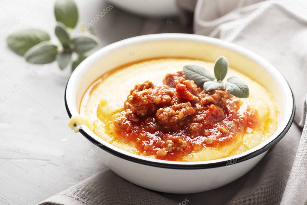 Typical polenta of Lombardy with tomatoes and meat, selective focus