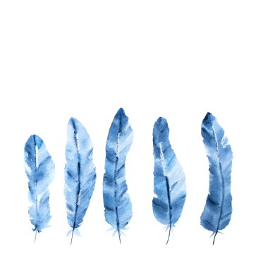 Beyaz arka plan üzerinde izole el çekilmiş Indigo tüy suluboya