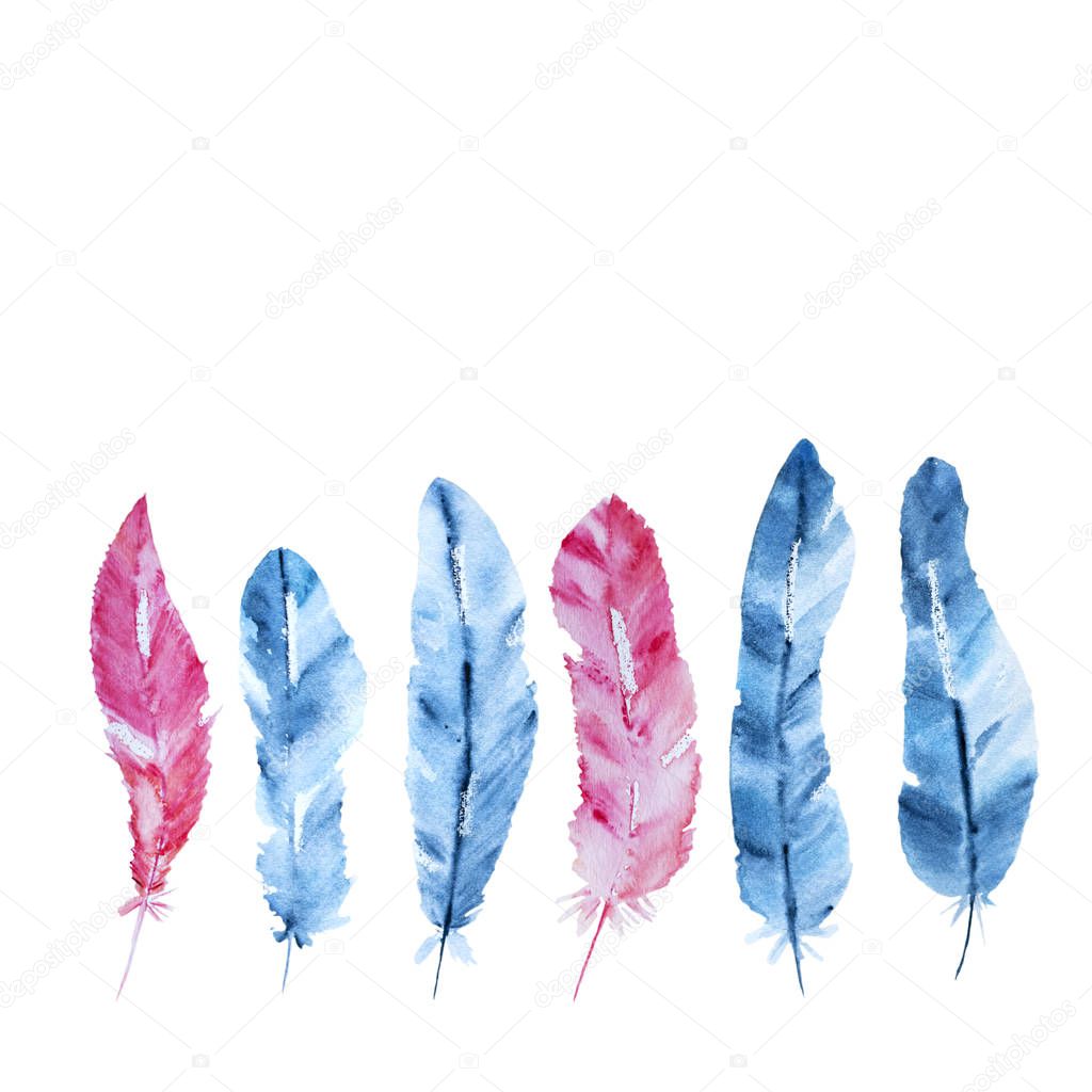 Hand drawn Indigo and pink feather watercolor isolated on white background