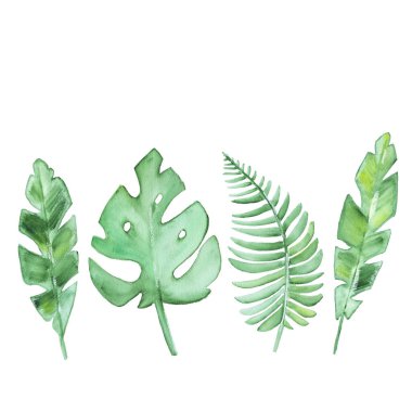 Beyaz arka plan üzerinde izole basit tropik leavs kümesi