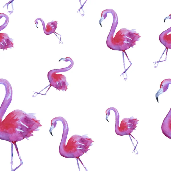Suluboya Çekilmiş Seamless Modeli Pembe Flamingo Beyaz Arka Plan Üzerinde — Stok fotoğraf