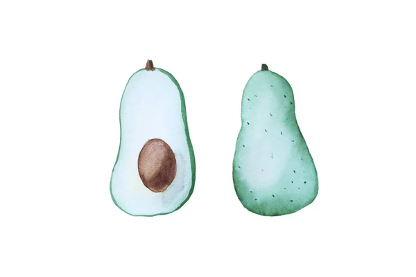 Aquarell Handgezeichnete Avocado Isoliert Auf Weißem Hintergrund — Stockfoto