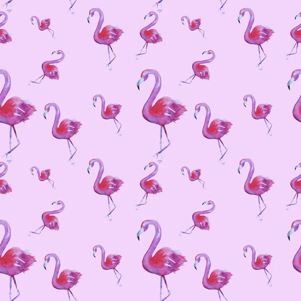 Akvarell Kézzel Rajzolt Zökkenőmentes Minta Rózsaszín Flamingó Rózsaszín Háttér Elszigetelt — Stock Fotó