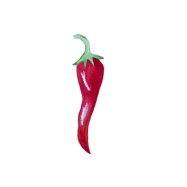 Watercolor Hand Drawn Chili Pepper Isolated White Background — Stock Photo, Image