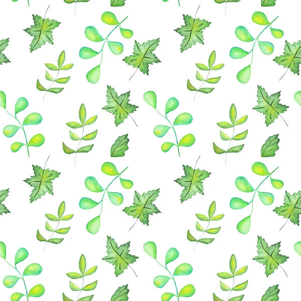 白い背景で隔離のシームレスな水彩画植物パターン — ストック写真
