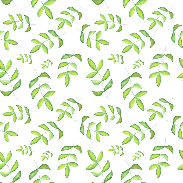 白い背景に分離された緑の葉でシームレスな水彩パターン — ストック写真