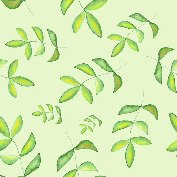 緑の背景に分離された緑の葉でシームレスな水彩パターン — ストック写真