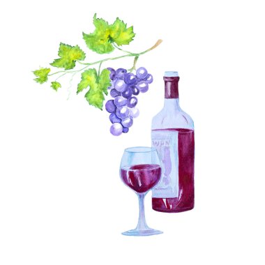 Suluboya kırmızı şarap ve üzüm beyaz arka plan üzerinde izole