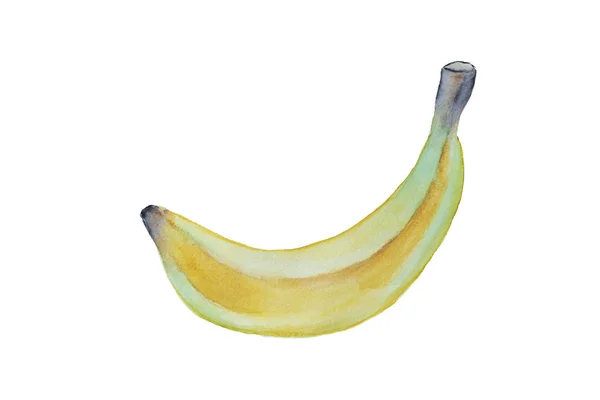 Dłoń Akwarela Ciągnione Banana Białym Tle — Zdjęcie stockowe
