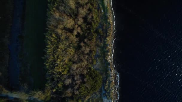 Vista Aérea Del Parque Nacional Del Circeo Lazio Italia Video — Vídeo de stock