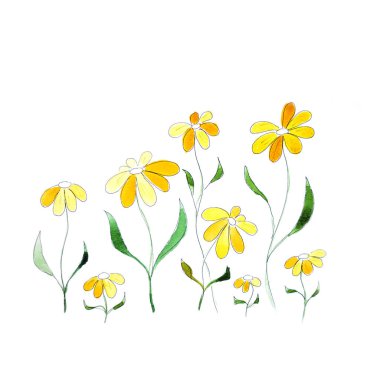 Beyaz arka plan üzerinde izole elle çizilmiş suluboya sarı çiçek