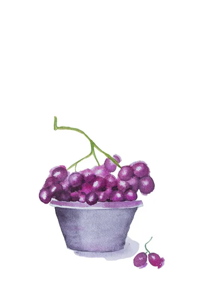 Ręcznie Rysowane Akwarela Czerwonych Winogron Białym Tle Białym Tle — Zdjęcie stockowe