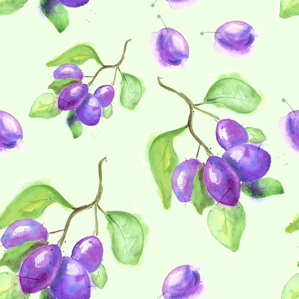 Seamless Watercolor Pattern Plums Isolated Green Background — Stock Photo, Image