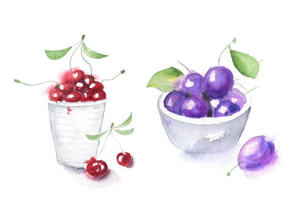 Watercolor Hand Drawn Cherry Plums Isolated White Background — Stock Photo, Image