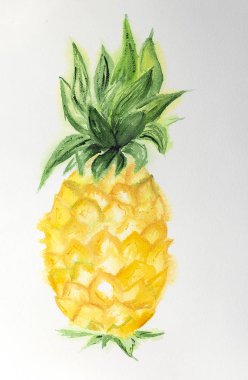 Orijinal suluboya kağıt üzerine el çizilmiş ananas. Yalıtılmış Görüntü Değil