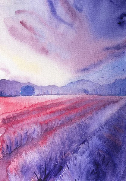 Watercolor hand drawn lavender field. Original painting
