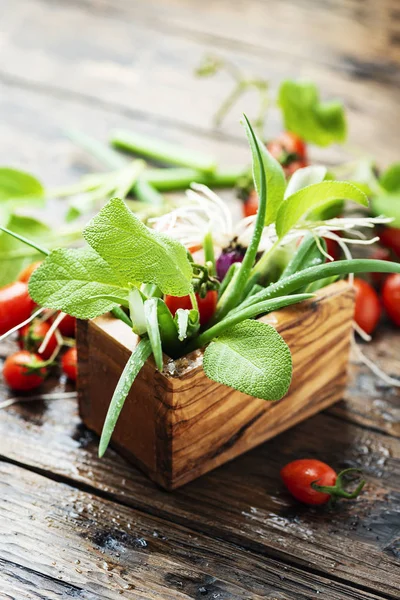 Concept of health vegan food — Stock Photo, Image